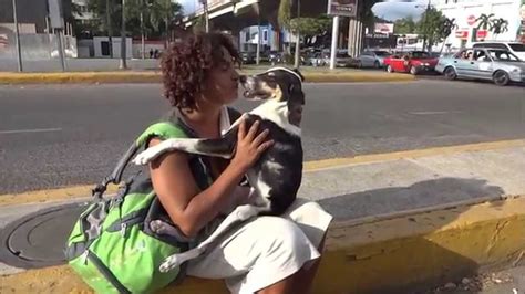 mujeres follando con perros|Rubia se deja coger por su perro por primera vez